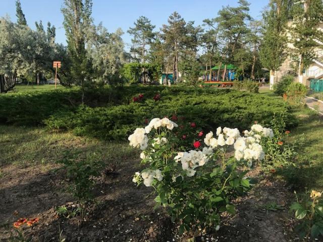 База Отдыха Наука Коблево Kobleve Esterno foto
